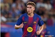 虎扑BBS-切尔西解了巴萨燃眉之急，只要费尔明同意，5000万欧元不是阻碍