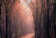 虎扑官网-费城76人：新赛季的重生与挑战