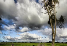 虎扑平台-Josh Hart手指伤病如(rú)何影响纽約(yuē)尼尅(kè)斯的2025-26赛季？