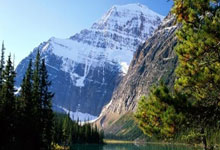 虎扑下载-德甲沃尔夫斯堡主帅西蒙尼斯下课