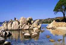 虎扑BBS-英超综合：阿森纳“绝杀”纽卡斯爾(ěr)联