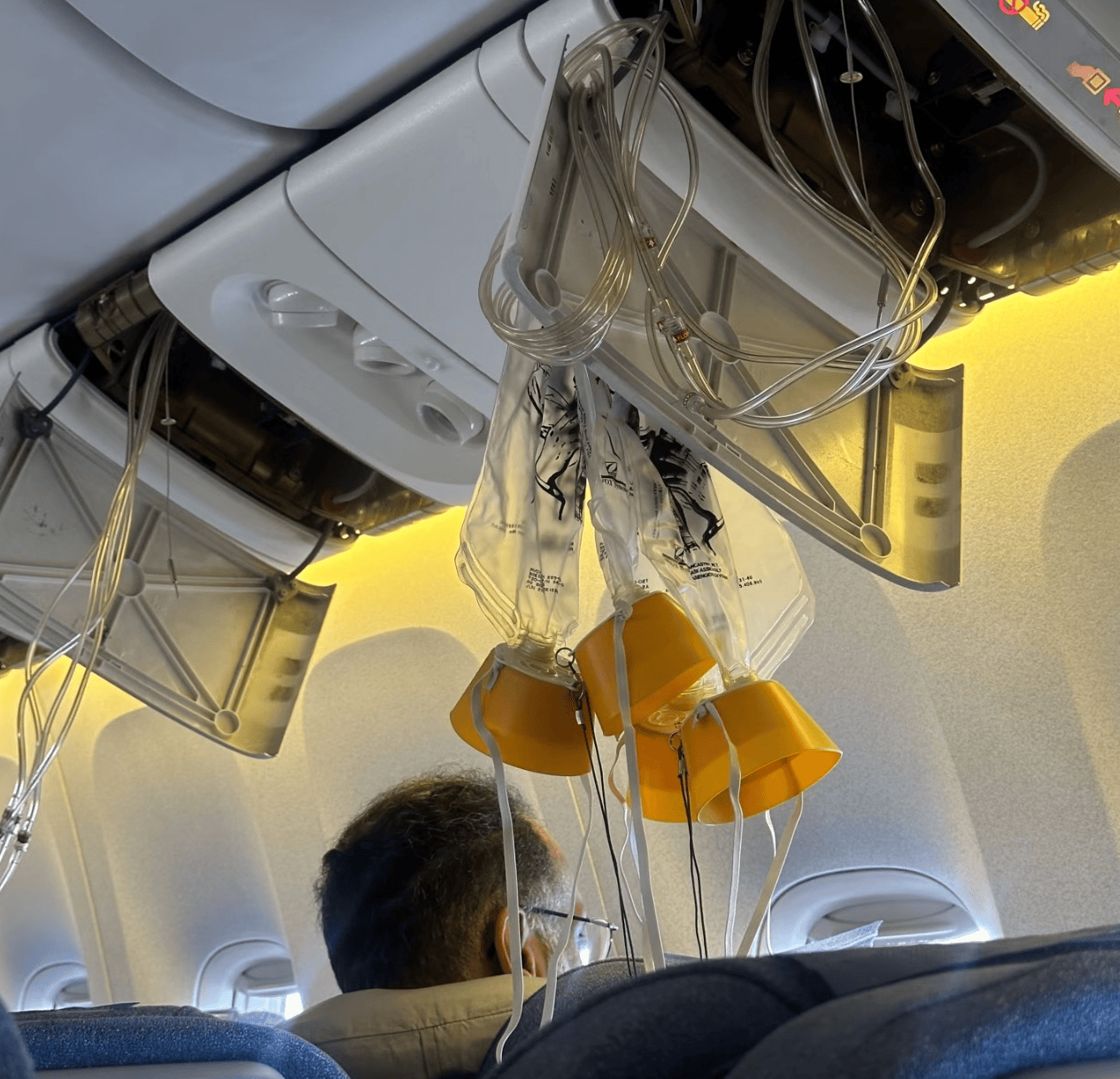 虎扑社区-國(guó)航飞法兰克福的航班氧气面罩系统故障返航！刚有航班备降