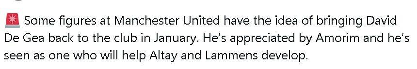 虎扑官网-曝曼联高层考虑明年回签德赫亚,指导拉门斯发展!阿(ā)莫林很欣赏他