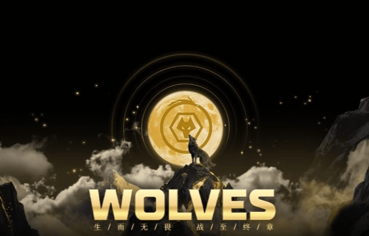 hupu虎扑-“渝超”璧山狼队真與(yǔ)“十冠王”重庆狼队有关?璧山文旅:我(wǒ)们深度合作